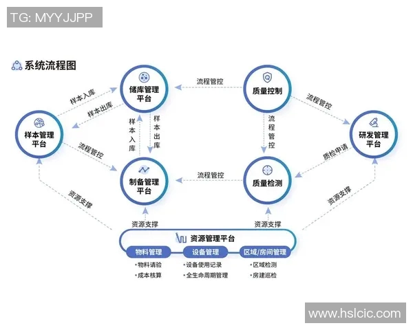 北京网球队快攻革新之路：从战术调整到技术提升的全面解析